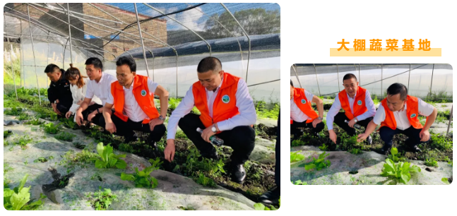 1577155663356862.png image.png